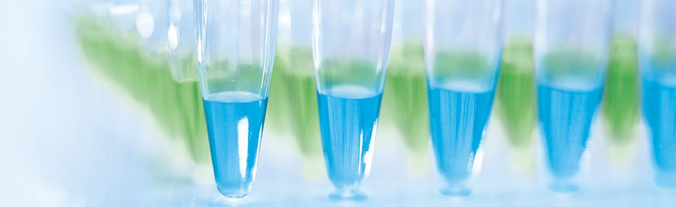 賽睿產品服務全球